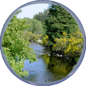 aperturestream300a99